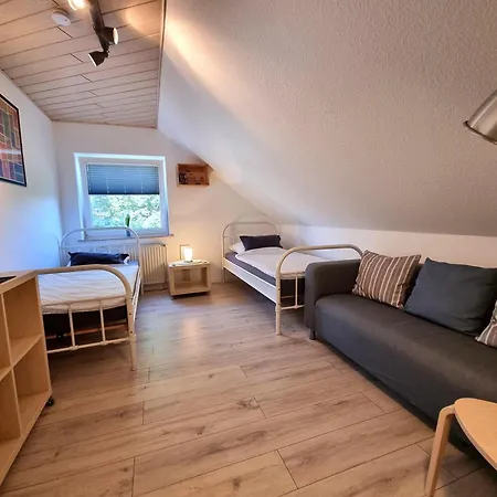 Apartment Ferienwohnung-wipperau-i *